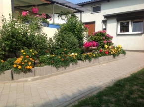 Has und Igel